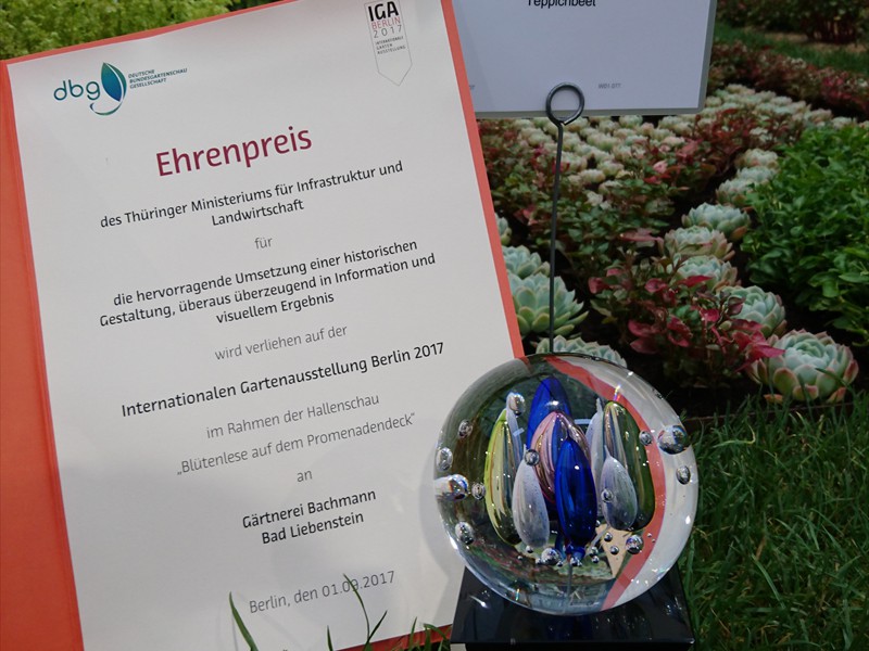 Ehrenpreis IGA Berlin 2017 für Gestaltung und Information Teppichbeet